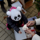 Karácsonyfa díszítő verseny