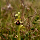 Karanténséta a Gerje parton