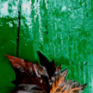 Ősz a Gubody parkban