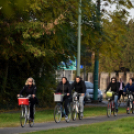 Tekerd be Ceglédet!