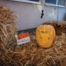 Az idén is tök jó volt…