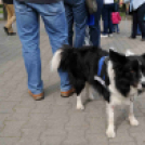 Autizmus Világnapja Cegléden