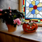 Legszebb kertek - legszebb rajzok Cegléden