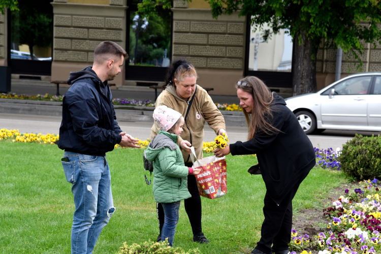 Ments meg egy árvácskát!