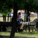 Laska fesztivál - szombat délelőtt