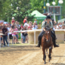 Bor és laskafesztivál - II