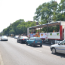 Bor és laskafesztivál - I