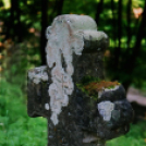 ,,Tudom e mérni a mérhetetlent’’