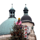 Fenyőfaállítás a Szabadság téren