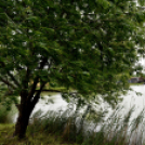 Pünkösdi horgászverseny