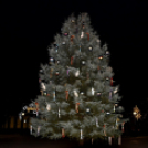 Advent harmadik vasárnapja