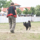 IX. Bor és Laskafesztivál - IV. Ceglédi Vágta