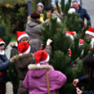 Karácsonyfa díszítő verseny