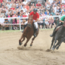 IX. Bor és Laskafesztivál - IV. Ceglédi Vágta