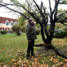 Októberi orkán Cegléden