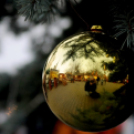 Megnyílt a Karácsonyi Vásár