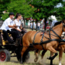 Laska fesztivál - szombat délelőtt