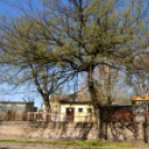 Városi Strand - Akkor és Most