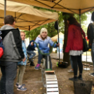 Autómentes nap Cegléden