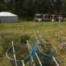 Hétközepi majális