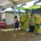 Bor és laskafesztivál - I