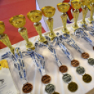 Diákolimpiai döntőt rendeztek