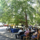 Semmelweis nap Cegléden - idén hárman kaptak Cegléd Város Egészségügyért elismerést