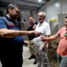 XIII. Nyitott Pince Nap