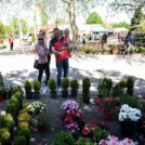 Virágvásár és főzőfesztivál Csemőben