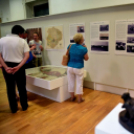 Múzeumok Éjszakája