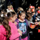 XVIII. Kossuth Toborzó - 1. nap