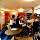 Olimpikonok kiállítás