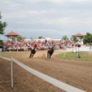 IX. Bor és Laskafesztivál - IV. Ceglédi Vágta