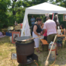 Bor és laskafesztivál - I