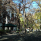 Halló Cegléd - Rákóczi út