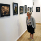 ,,Tudom e mérni a mérhetetlent’’