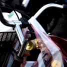 Infineon ételosztás