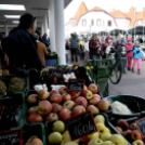 Márton napi felvonulás a Táncsicsban