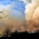 Száraz növényzet égett