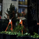 Ünnepeltek a vadászok