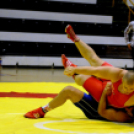 Birkózó Csapat Bajnokság - Visszavágó