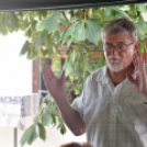 A növénynemesítő nyomában