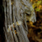 Baán Katalin - fotókiállítás 