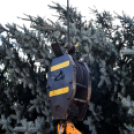 Karácsonyi készülődés a Szabadság téren