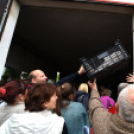 Szebb, virágosabb Ceglédért