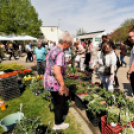 Virágvásár és főzőverseny Csemőben