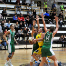 CEGLÉDI EKK – CMB CARGO GYŐR 66–74