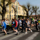 ,,Megyénk körül - megyünk körül''