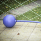 Terembemutató a Sportmúzeumban (2)