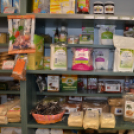 Rákóczi Ferenc a ceglédi Herbáriában